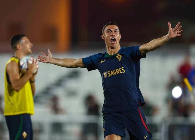欧美成人一级毛片