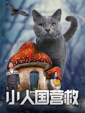 你会来吗-天使之城2020