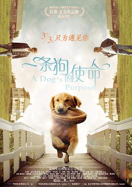 日韩有码在线视频观看