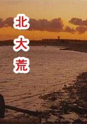 轻佻寡妇k8